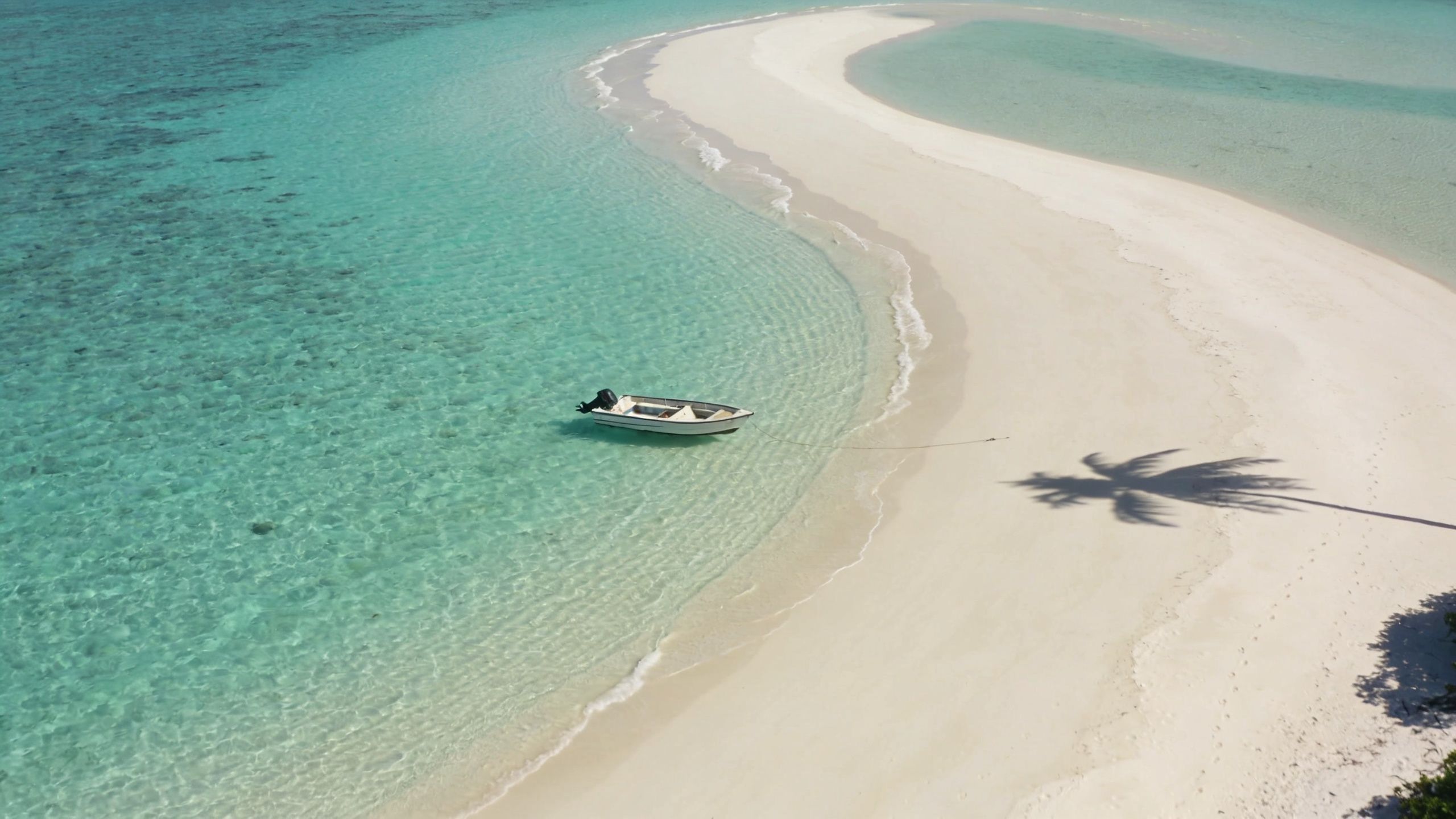 A small white motorboat anchored in the turquoise shallow water of a secluded tropical sandbank in Mauritius.